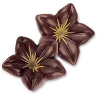 76 St. Schokoladen-Blüten