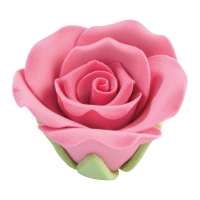 30 St. Feinzucker Rosen mittel rosa