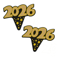 100 St. Einstecker Silvester  Jahreszahl