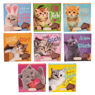 16 St. Kleines Pralinenpräsent  Katzen , sortiert 